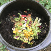 Webinar Resources – Composting at Home: An Introduction to the Basics