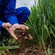 Webinar: Healthy Soils and Compost in Policy: Synergies and Opportunities