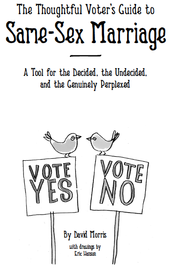 The Thoughtful Voter S Guide To Same Sex Marriage Institute For Local