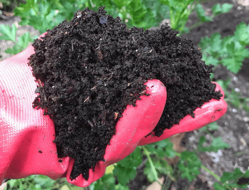 Home Composting Basics Institute For Local Self Reliance