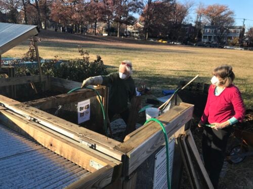 Volunteers watering piles. Credit: Institute for Local Self-Reliance